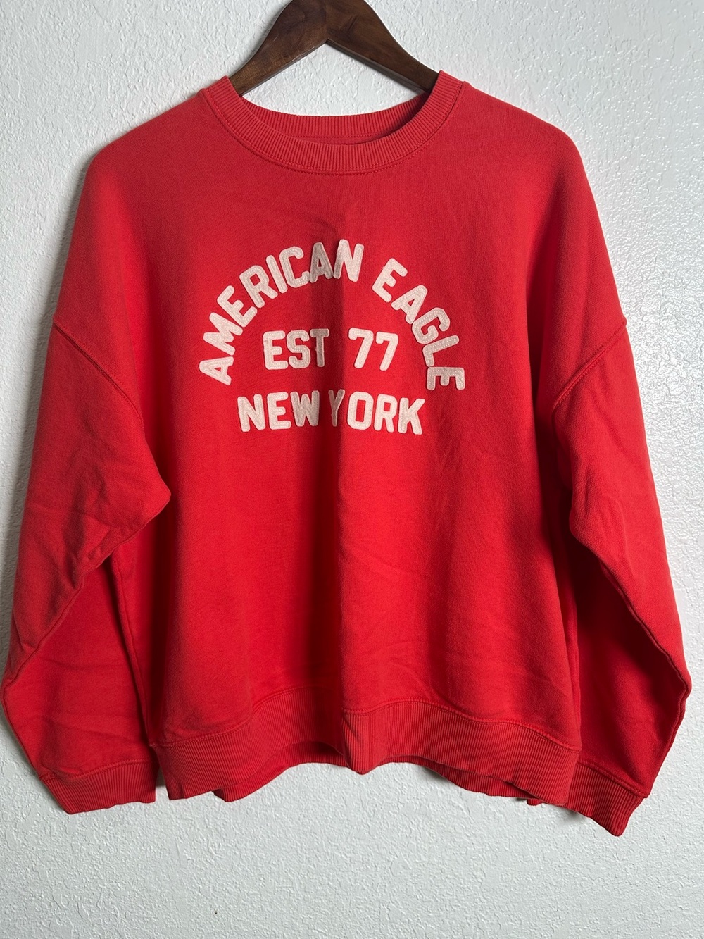 NWT American Eagle Crewneck Sweatshirt Size L